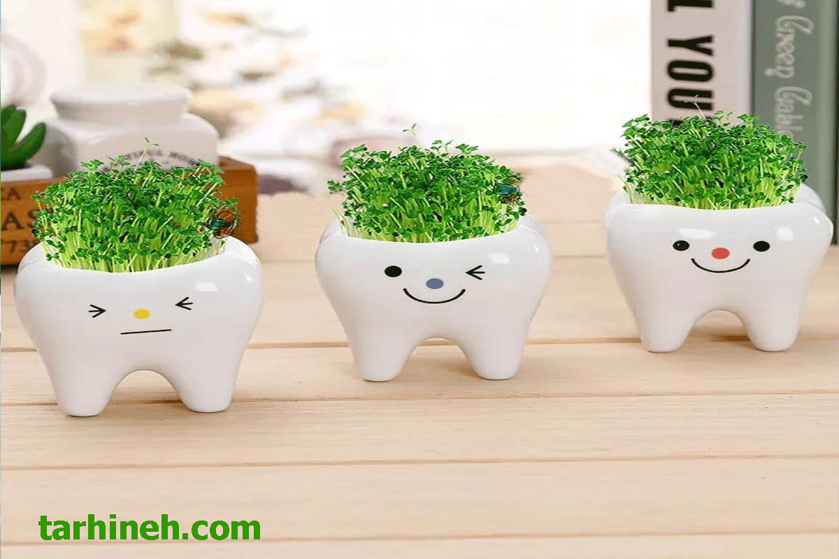 وسایل تزئینی در مطب دندانپزشکی 