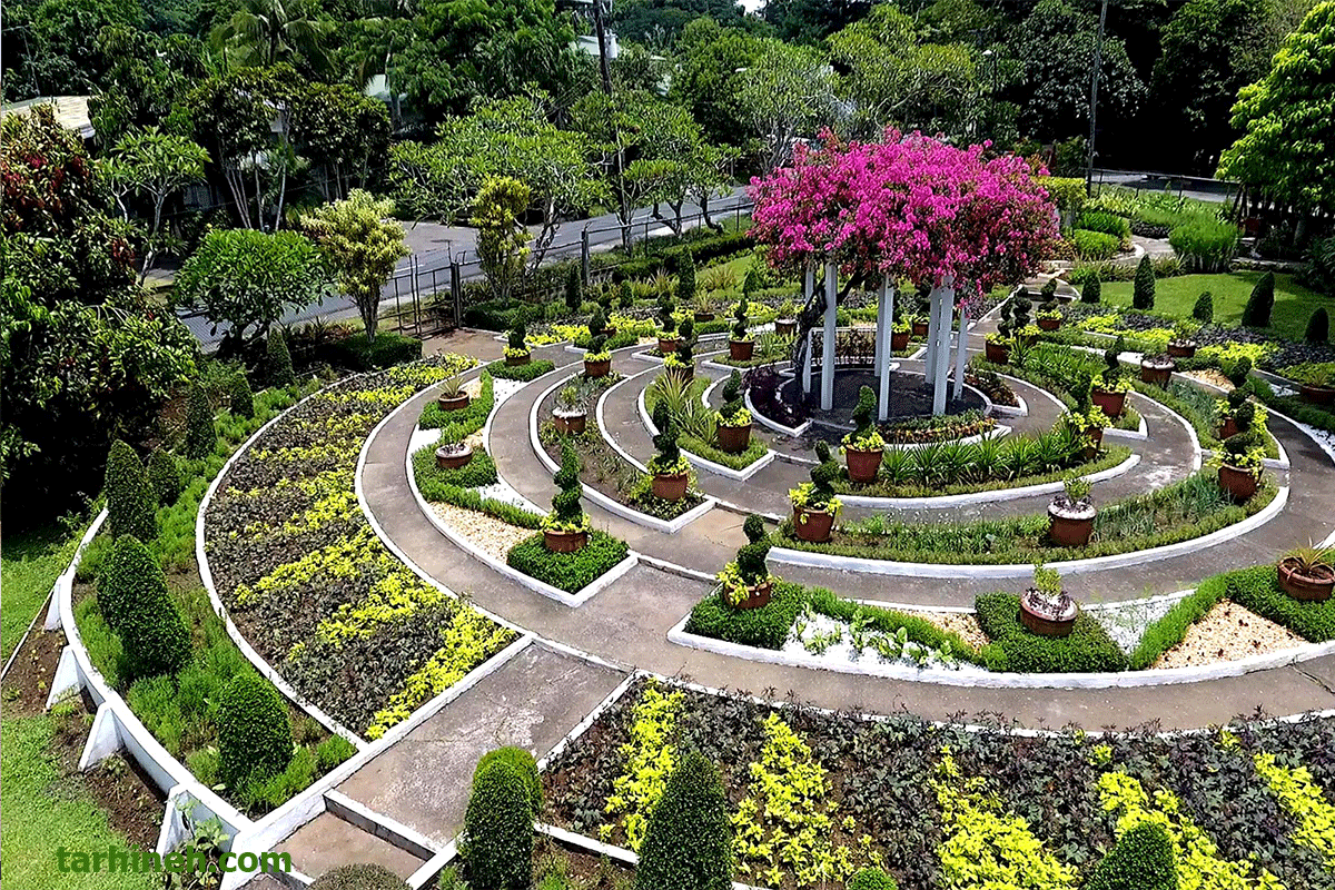 طراحی فضای سبز 