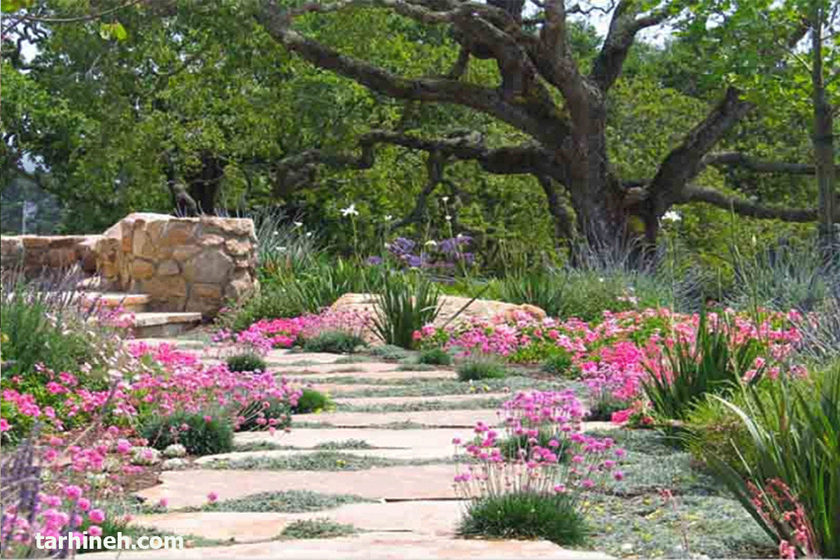 طراحی فضای سبز