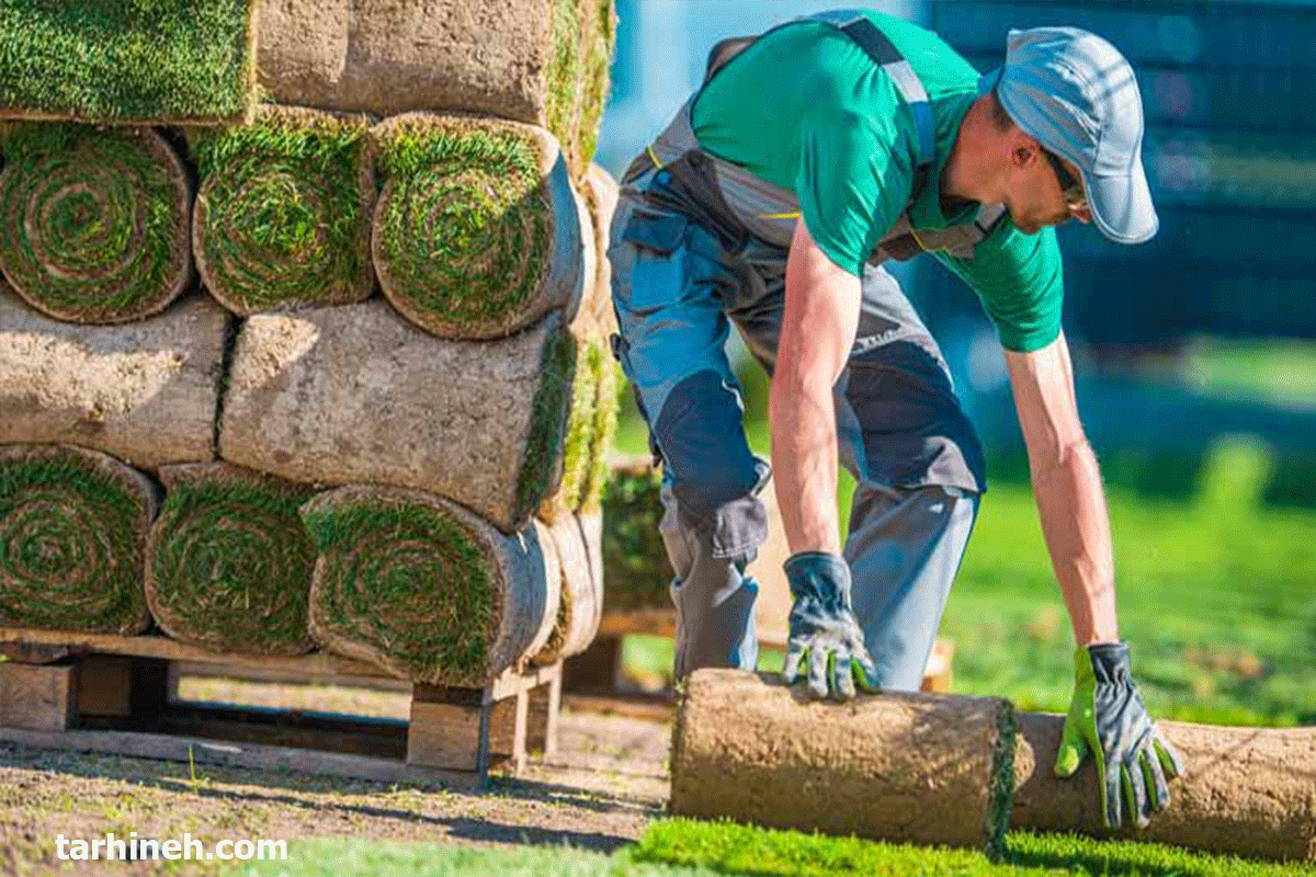 فضای سبز شهری