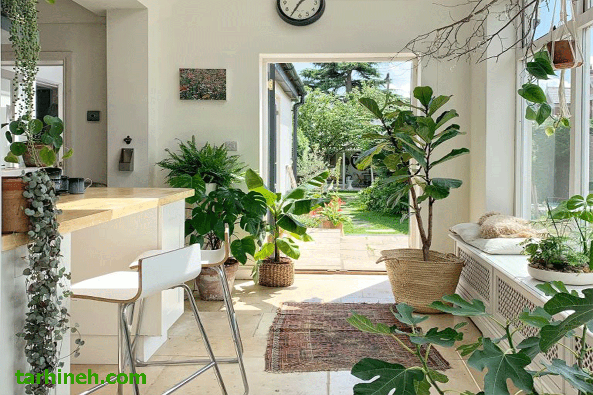  گل های آپارتمانی ورودی منزل