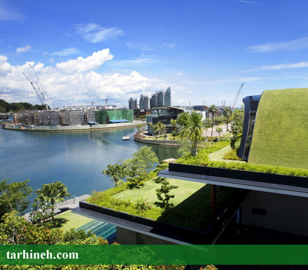 طراحی روف گاردن