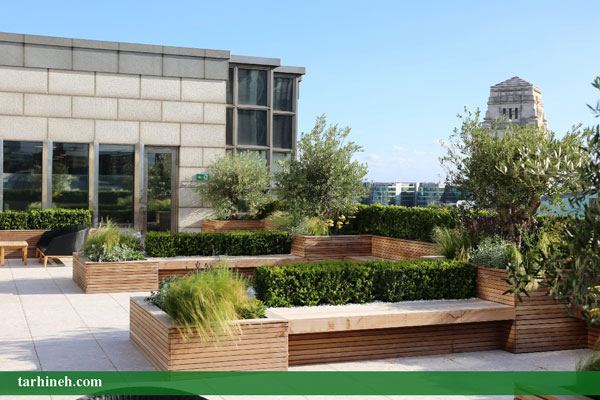 طراحی روف گاردن